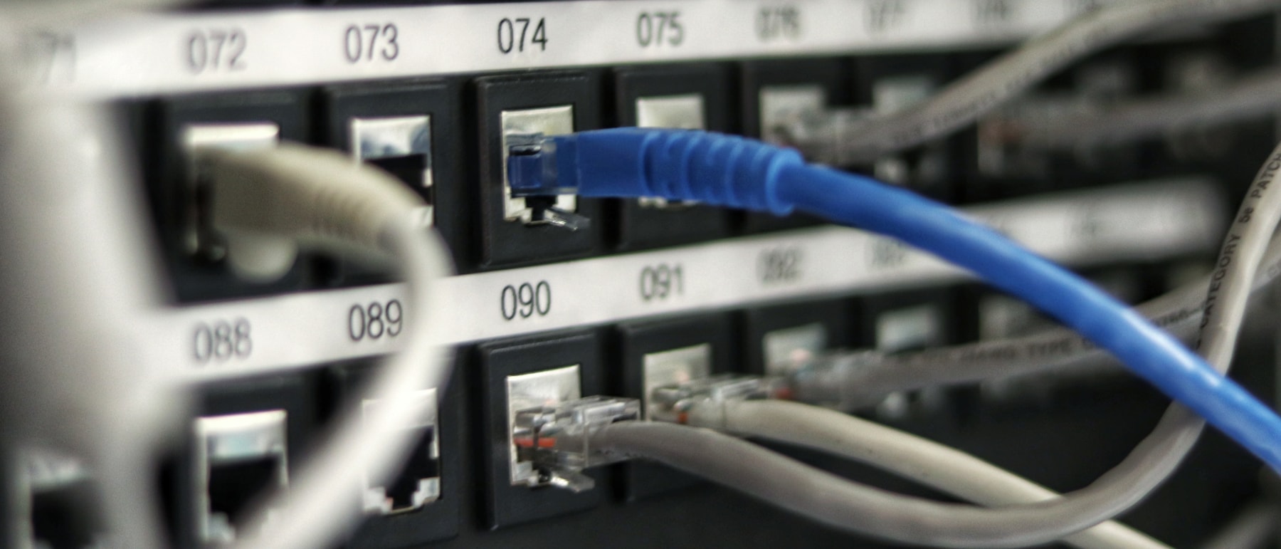 Network patch cables plugged into a rack-mounted switch in a server cabinet
